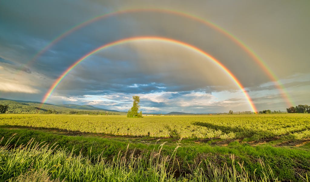 The Seven Spirit of God Rainbow Stunning double rainbow arches over vibrant farmland in Pitt Meadows, BC, Canada.